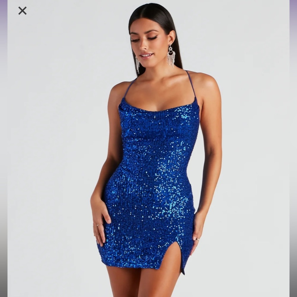 NWT Windsor Dress